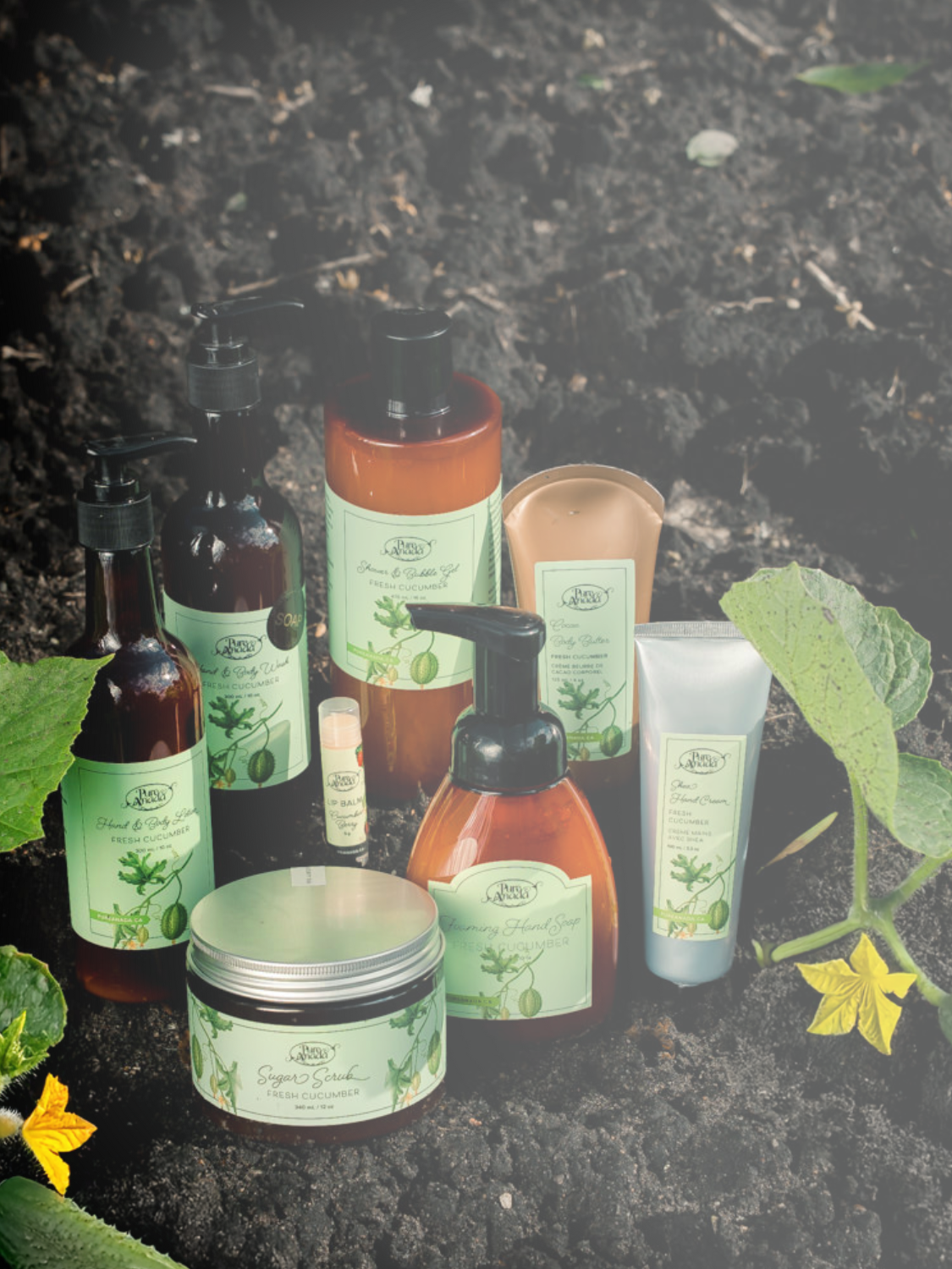 Fresh Cucumber Collection