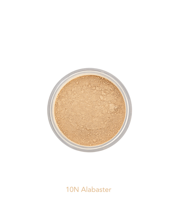 Loose Mineral Foundation | 26 Shades - Pure Anada