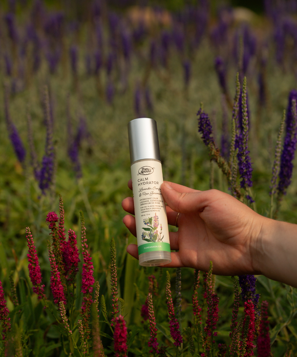 Calm Hydrator - Lavender, Comfrey, Rose Geranium - Pure Anada