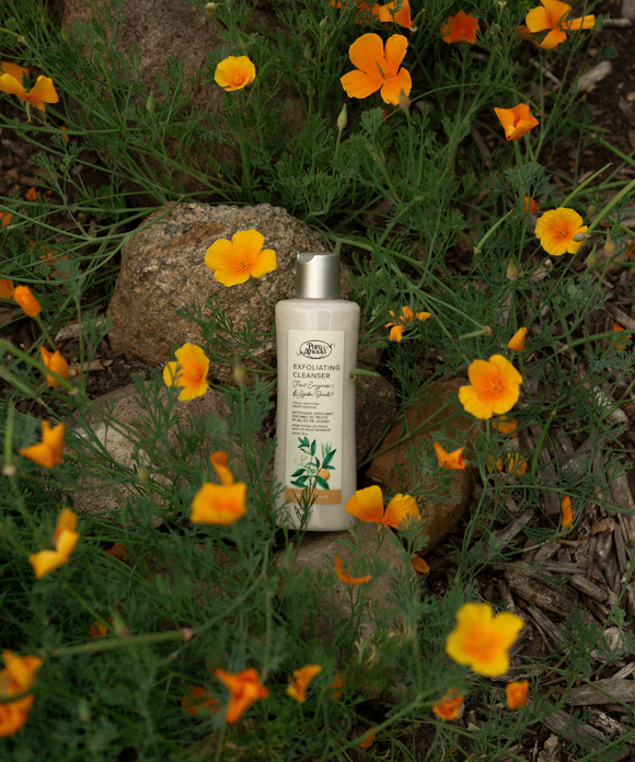 Exfoliating Cleanser - Fruit Enzyme & Jojoba Beads - Pure Anada