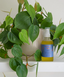 Lúlum Calendula & Plantain Bath and Body Oil - Sḵwálwen Botanicals