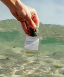 Sunshine Coast - Eau de Parfum-2