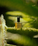 Tribune Bay - Eau de Parfum-2