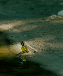 Tribune Bay - Eau de Parfum-5