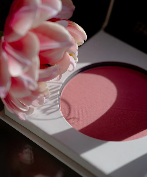 Pressed Blush - Tulip Bloom
