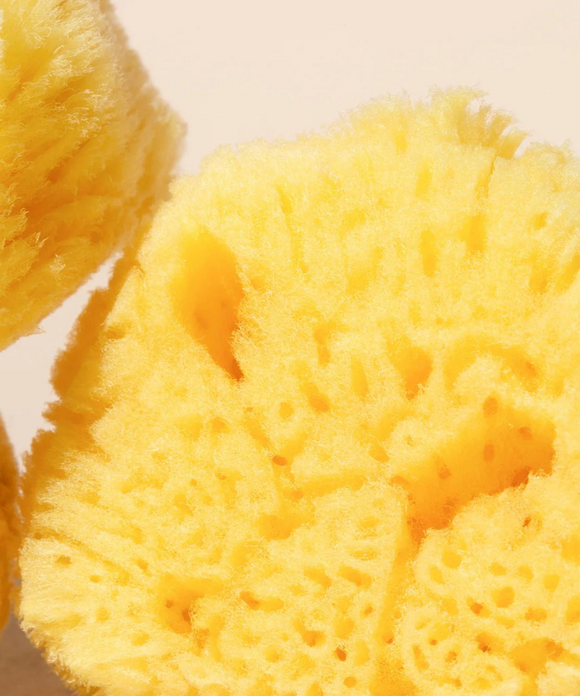 Silk Sea Sponge - Wildcraft Skincare