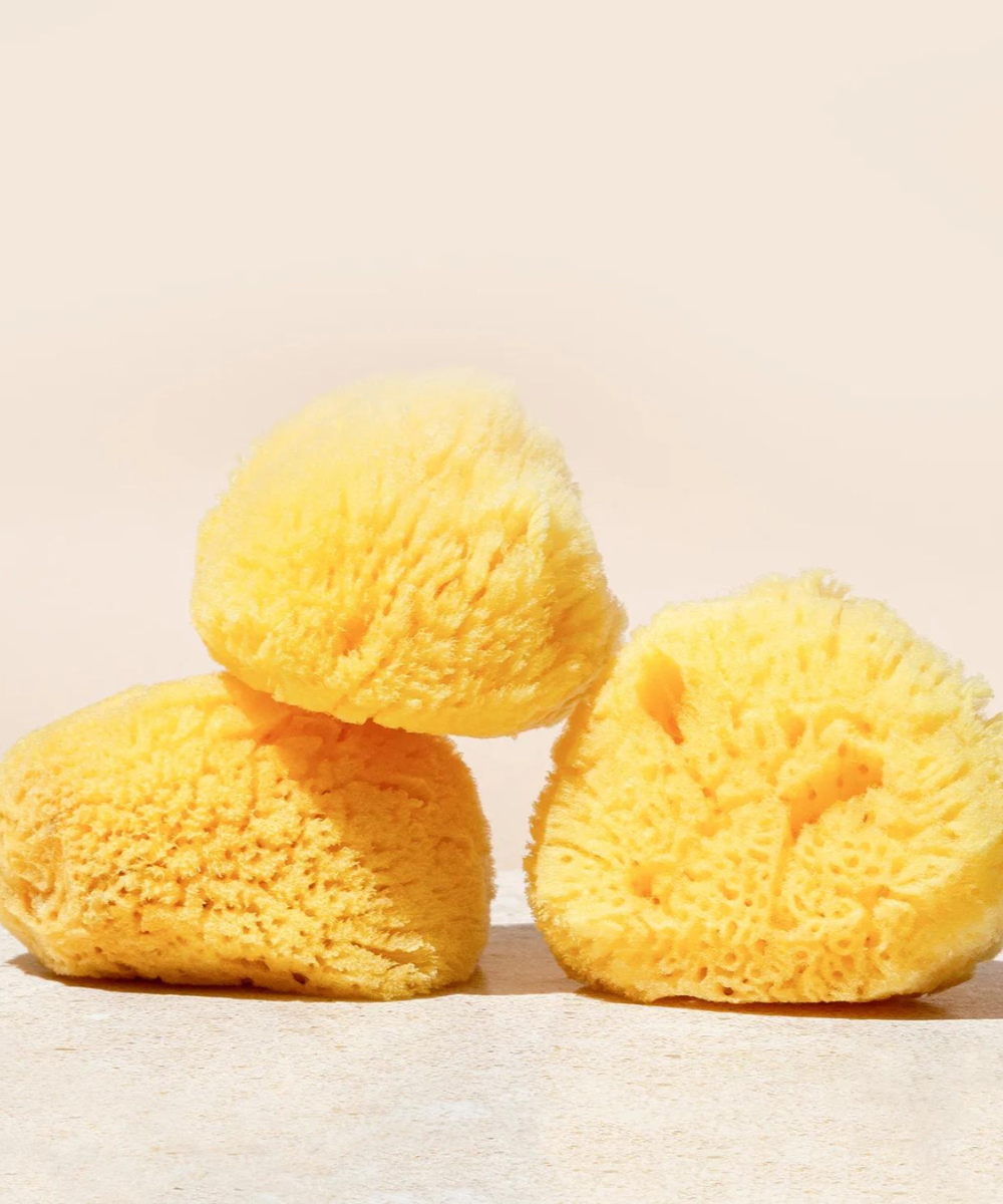 Silk Sea Sponge - Wildcraft Skincare