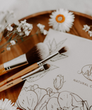 Everyday Eyeshadow Brush - Pure Anada