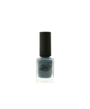 Blue & Green Glamour Nail Polish | 5 Shades-4