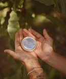 Shkweń Devil's Club & Nettle Salve-6