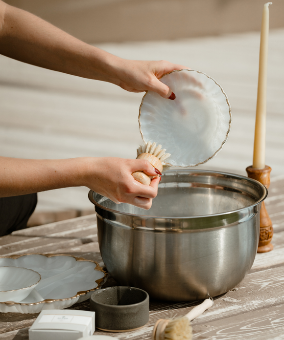 Dish Brush with Handle