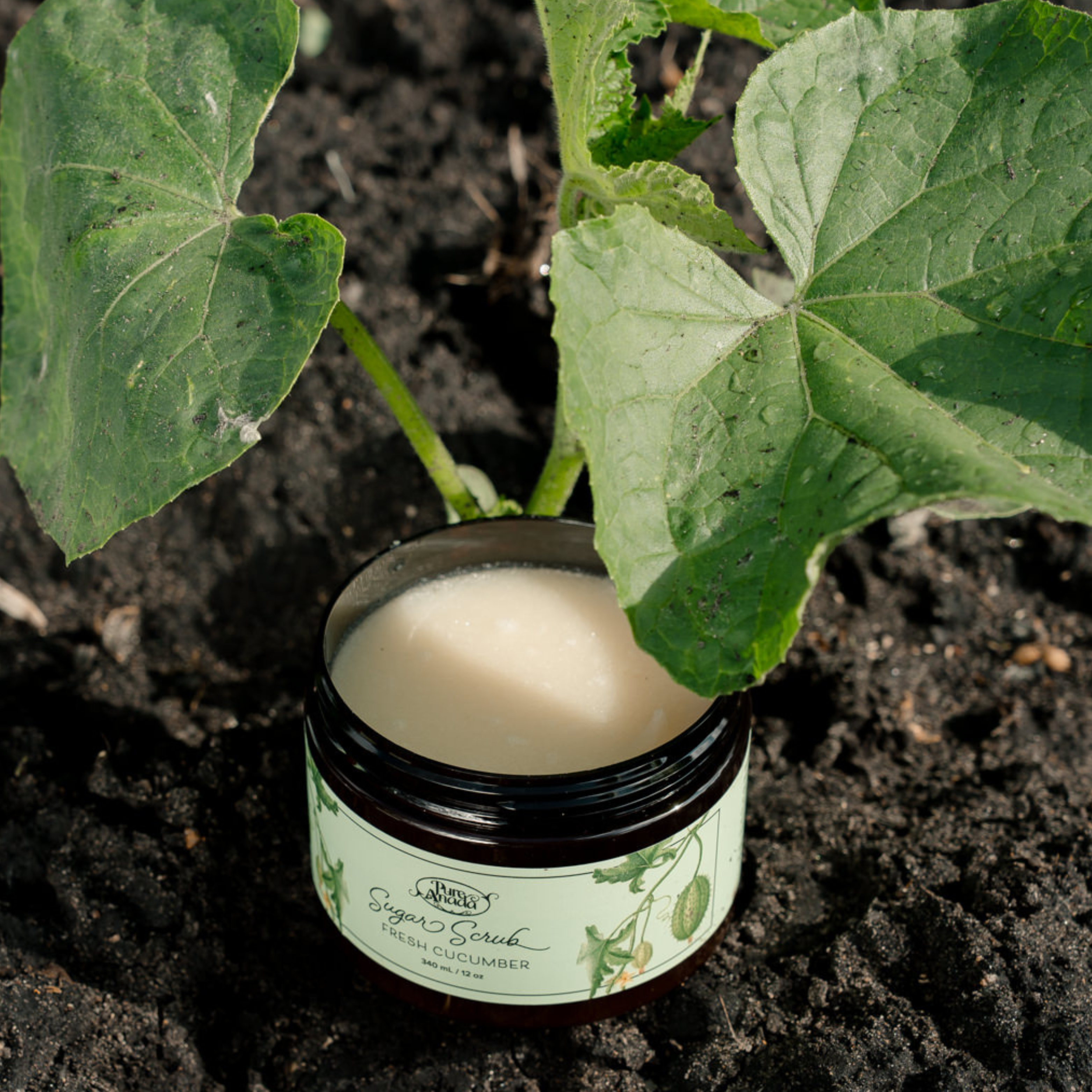 Your favourite scents