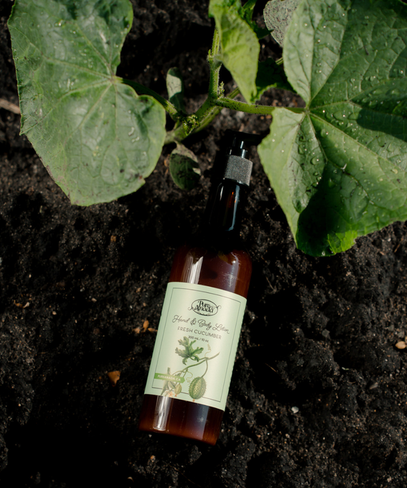 Fresh Cucumber Hand & Body Lotion
