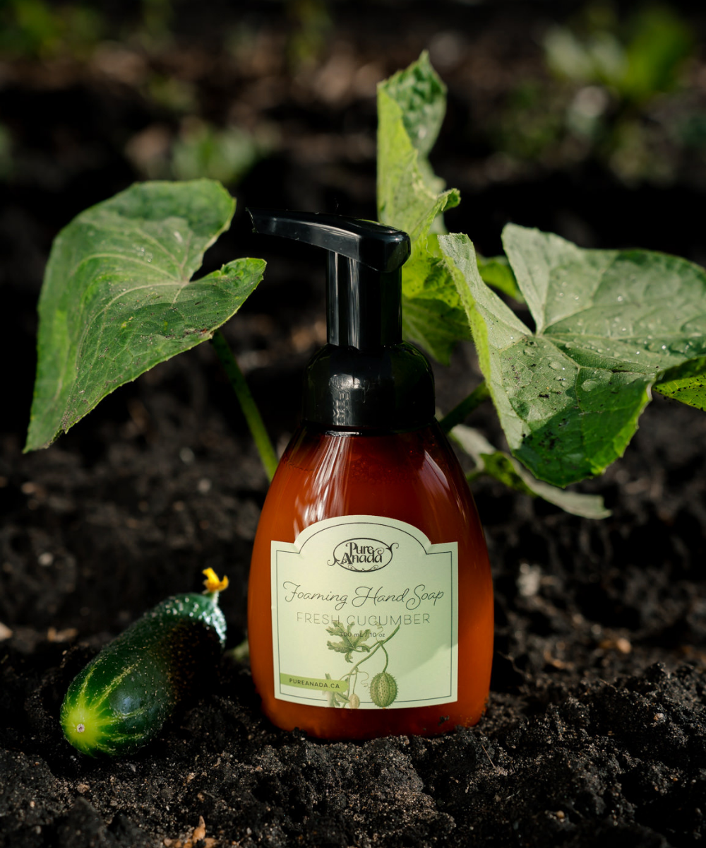Fresh Cucumber Foaming Hand Soap | Refill now available!