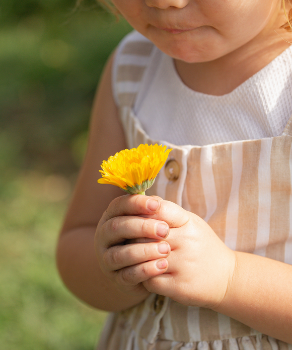 Combat Spray - Household Disinfectant