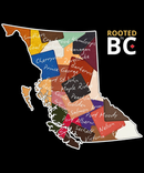 Cherryville - Blossom Art Shadow-3