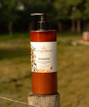 Buckthorn Berry & Honey Shampoo-8