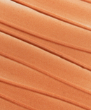 Lip Shine - Vanilla Glow-2