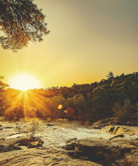 Warm Glow - Plant Based Perfume