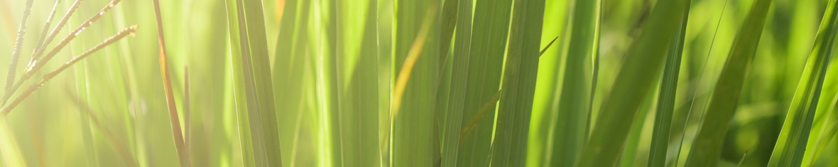 36 e9e5426c 187d 4bd0 bbd4 766d1753a567