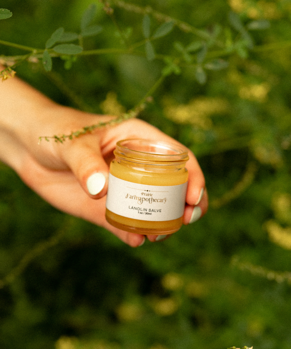 Lanolin Salve - Natural