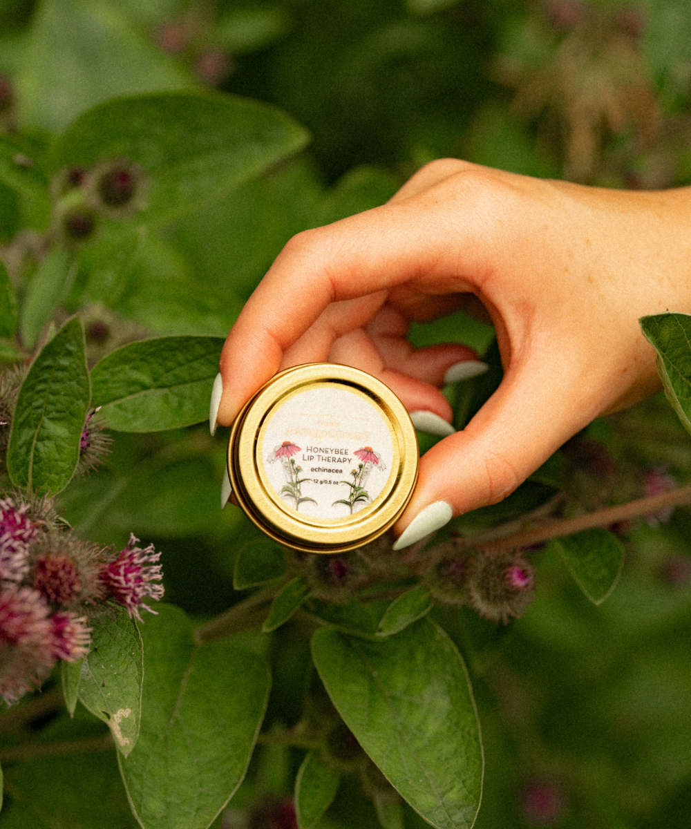 Honeybee Lip Therapy - Echinacea