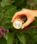 Honeybee Lip Therapy - Echinacea-2