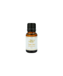 Snickerdoodle Holiday Diffuser Blend-1