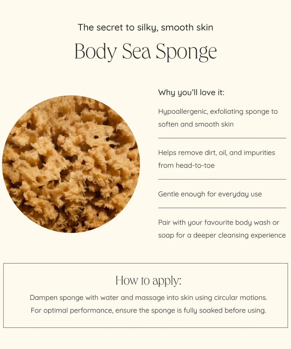 Body Sea Sponge