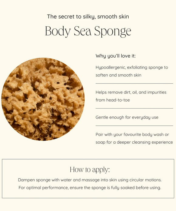 Body Sea Sponge