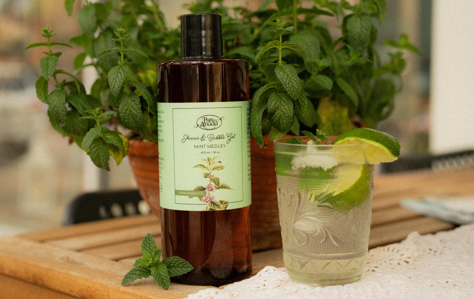 4 c8193f16 692b 46e5 90df 81365467156d