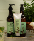 Mint Medley Hand & Body Wash-4