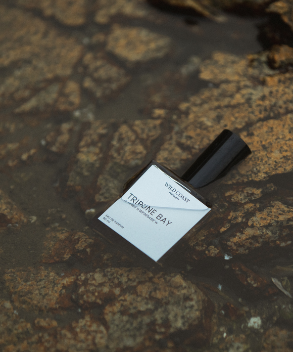 Tribune Bay - Eau de Parfum - Wild Coast Perfumery