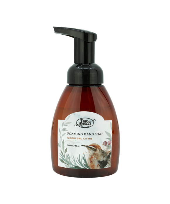 Holiday Foaming Hand Soaps | 4 Scents - Pure Anada