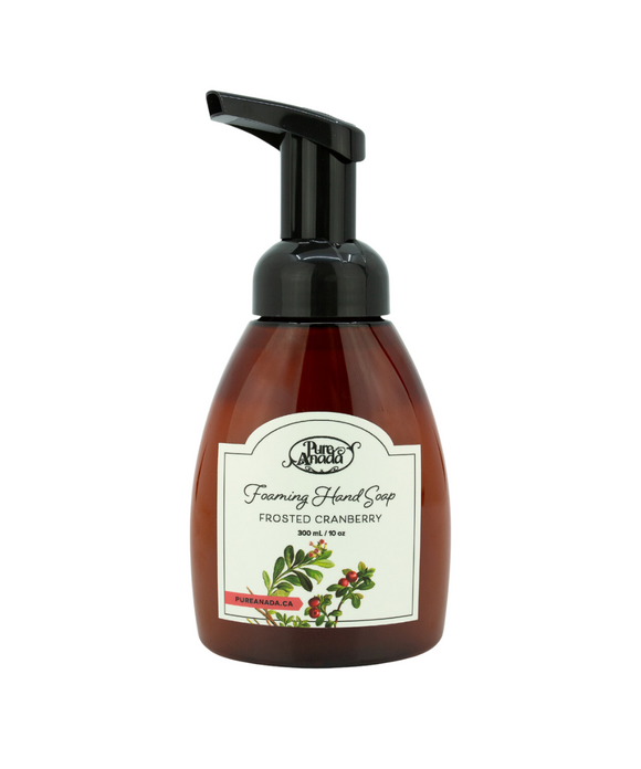 Holiday Foaming Hand Soaps | 4 Scents - Pure Anada
