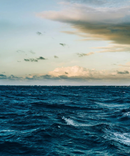 Sea Glow - Plant Based Perfume-2