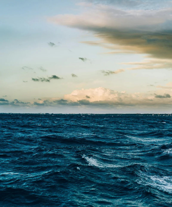 Sea Glow - Plant Based Perfume