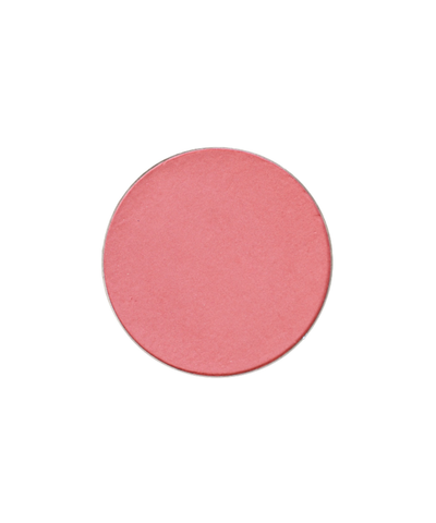 Pressed Blush - Tulip Bloom