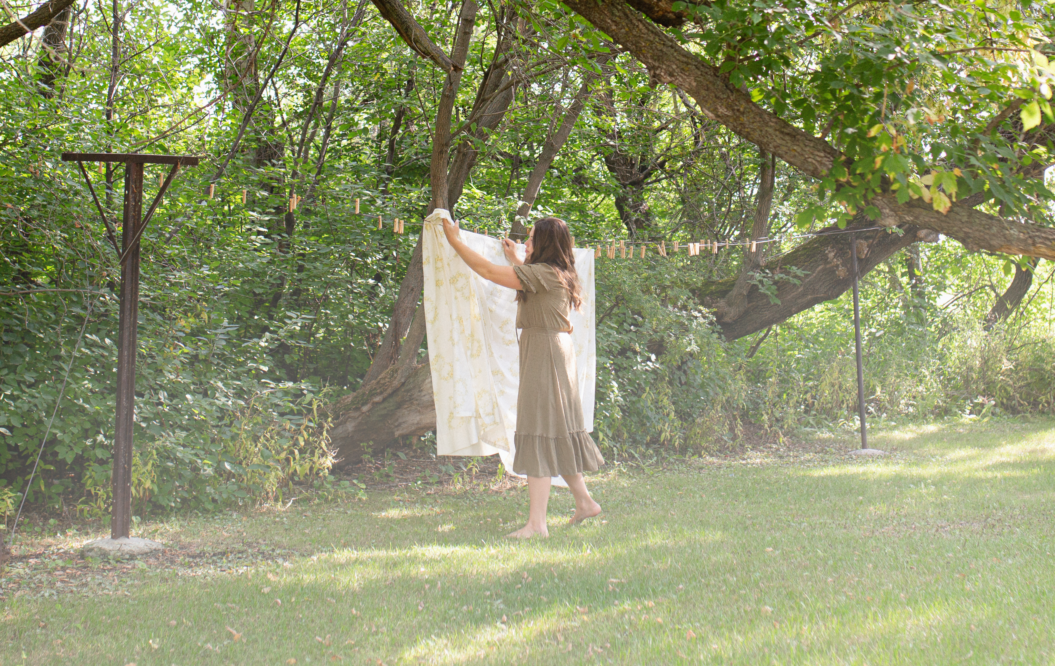 formulated by environmental chemists