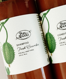 Fresh Cucumber Shampoo-3