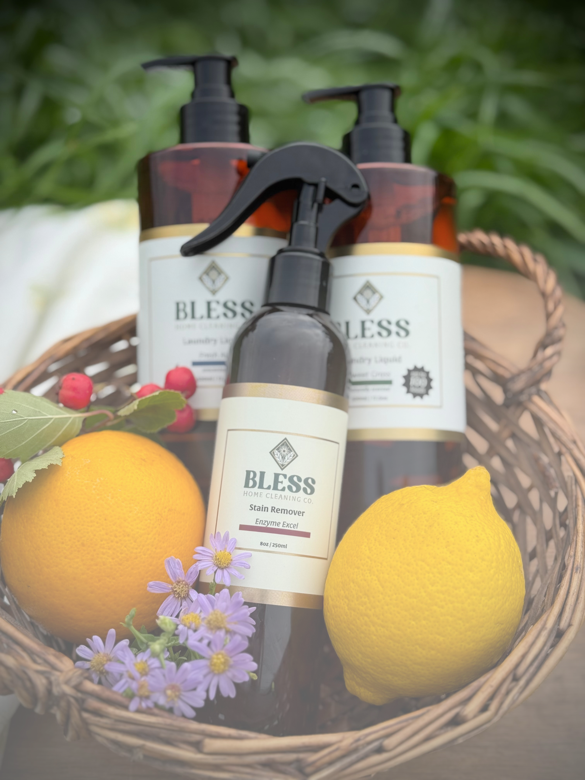 formulated by environmental chemists