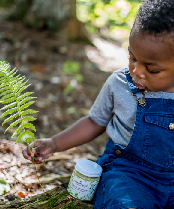 Soothing Skin Ointment - Anointment