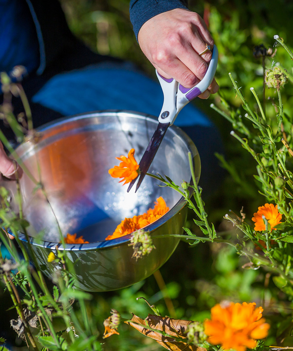Calendula Soap - Anointment