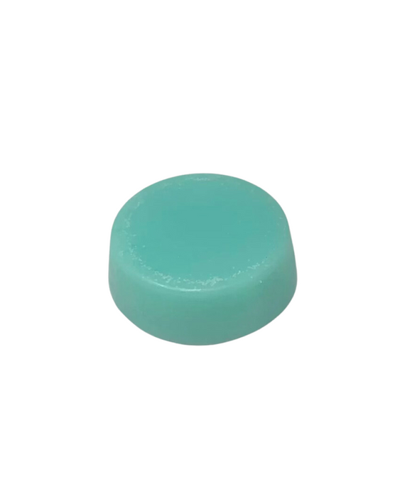 Beach Vibes - Baja Cactus Conditioner Bar | Fine or Damaged Hair - Bottle None