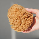 Body Sea Sponge-3