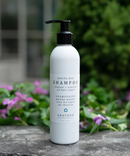 Matcha Mint Shampoo - Graydon Skincare