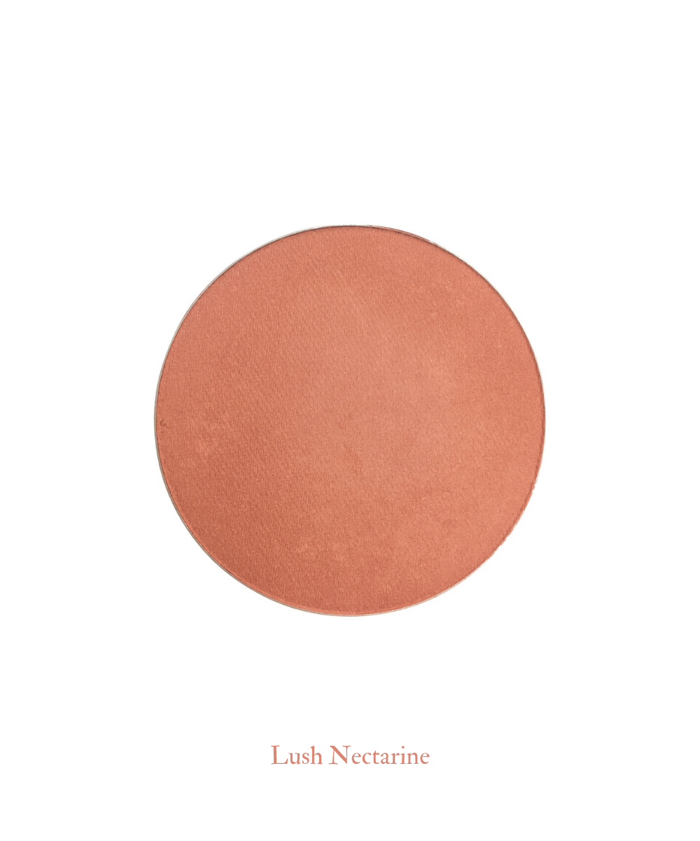 Pressed Blush Refill │ Lush Nectarine - Pure Anada
