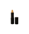 Cream Concealer Stick | Medium - Pure Anada