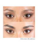 Nourish & Define Brow Pomade & Brush Duo | Chestnut Decademce - Plume Science