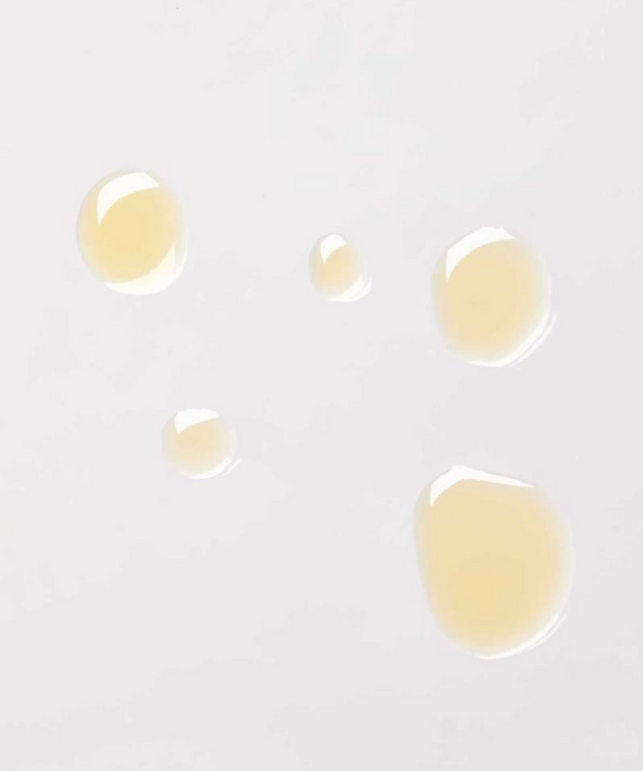 Prickly Pear + Schisandra Youth Concentrate